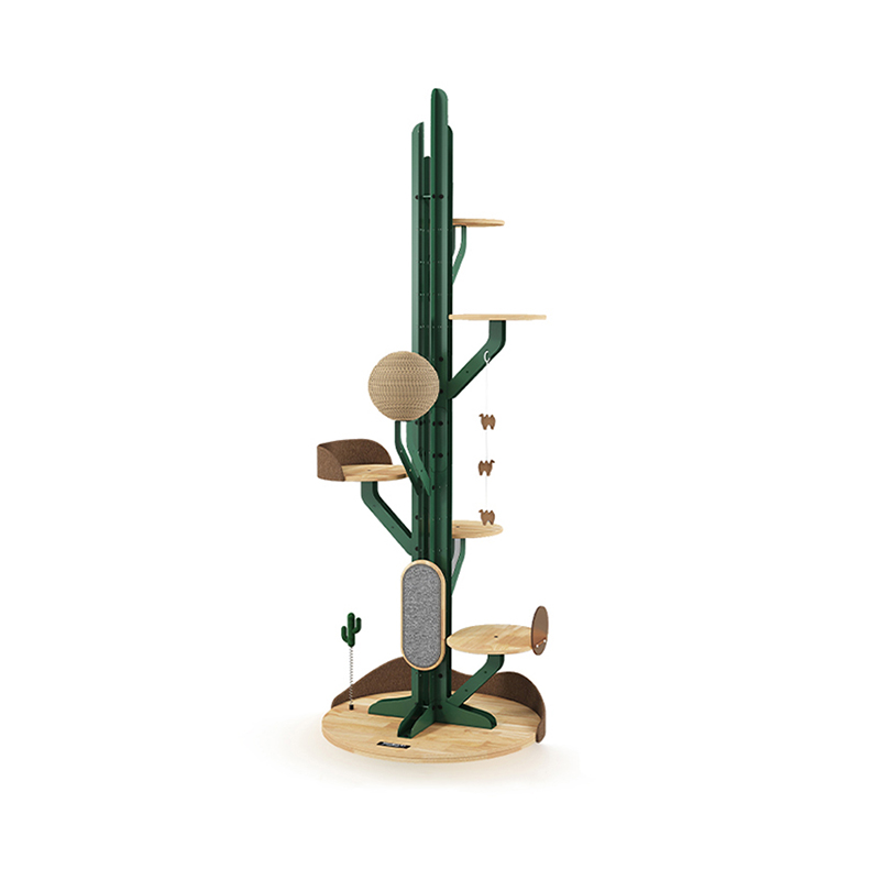 Cactus figura cattus lignum scandere frame cum scalpendo tabulas