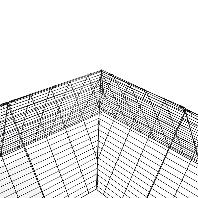 Velit currere magna anas pullum Cave Cage pro area Velit currere magna anas pullum Cave Cage pro area