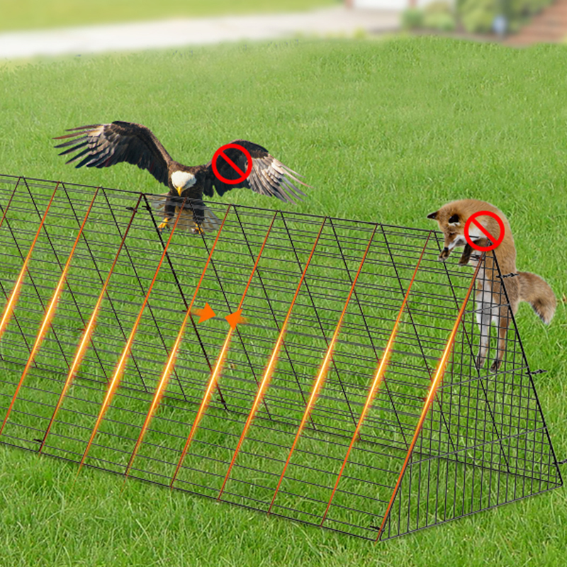 Velit currere magna anas pullum Cave Cage pro area Velit currere magna anas pullum Cave Cage pro area