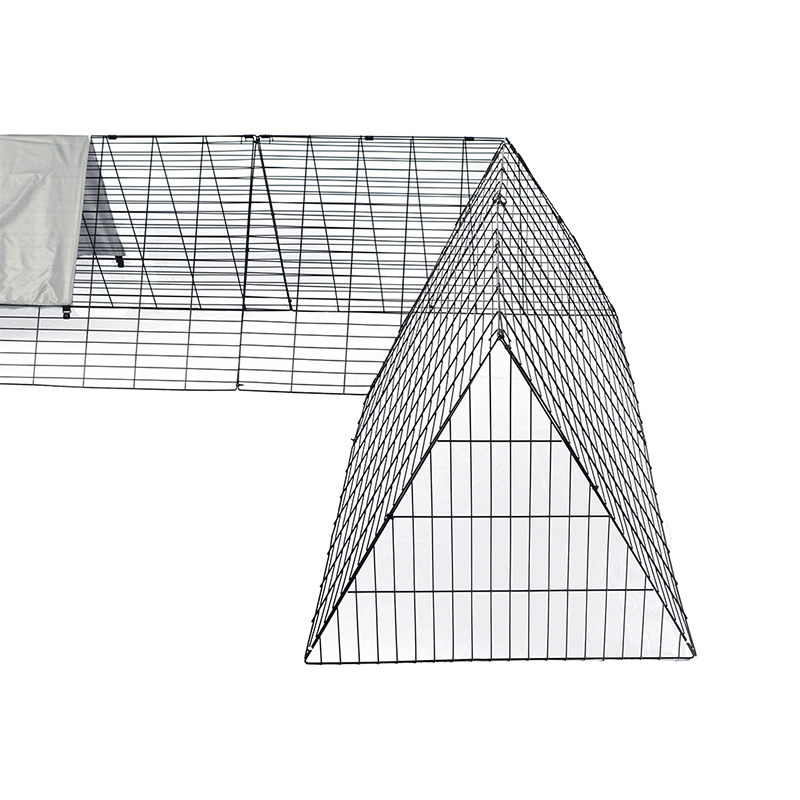 Velit currere magna anas pullum Cave Cage pro area Velit currere magna anas pullum Cave Cage pro area