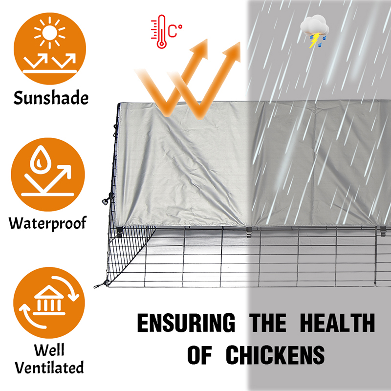 Velit currere magna anas pullum Cave Cage pro area Velit currere magna anas pullum Cave Cage pro area