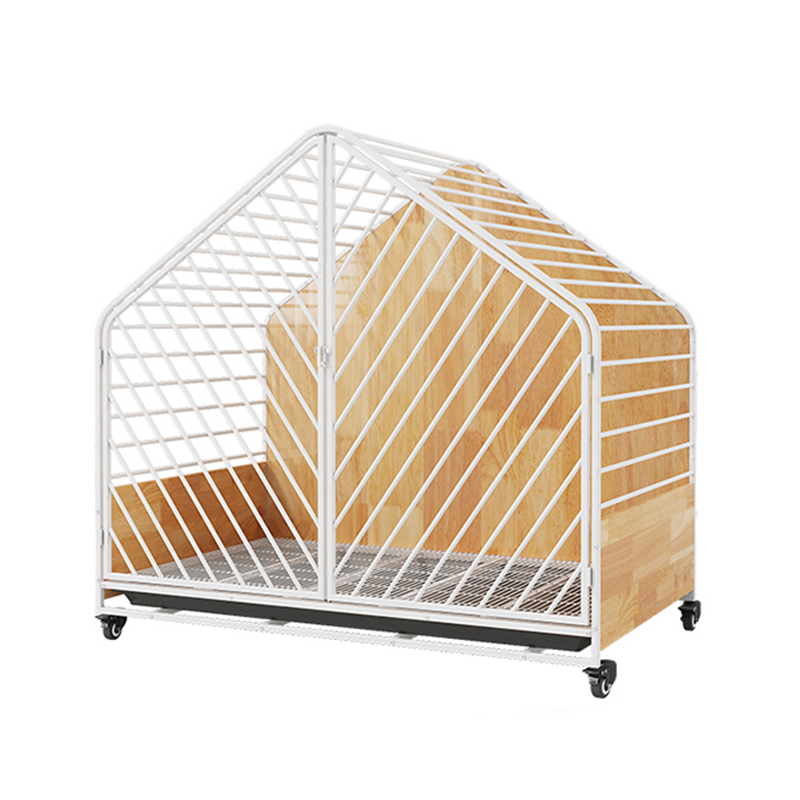 Magna lignum ferro amet canis cavea