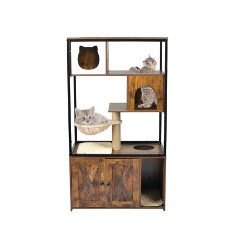 Quae sunt munera principalis felem cavea?