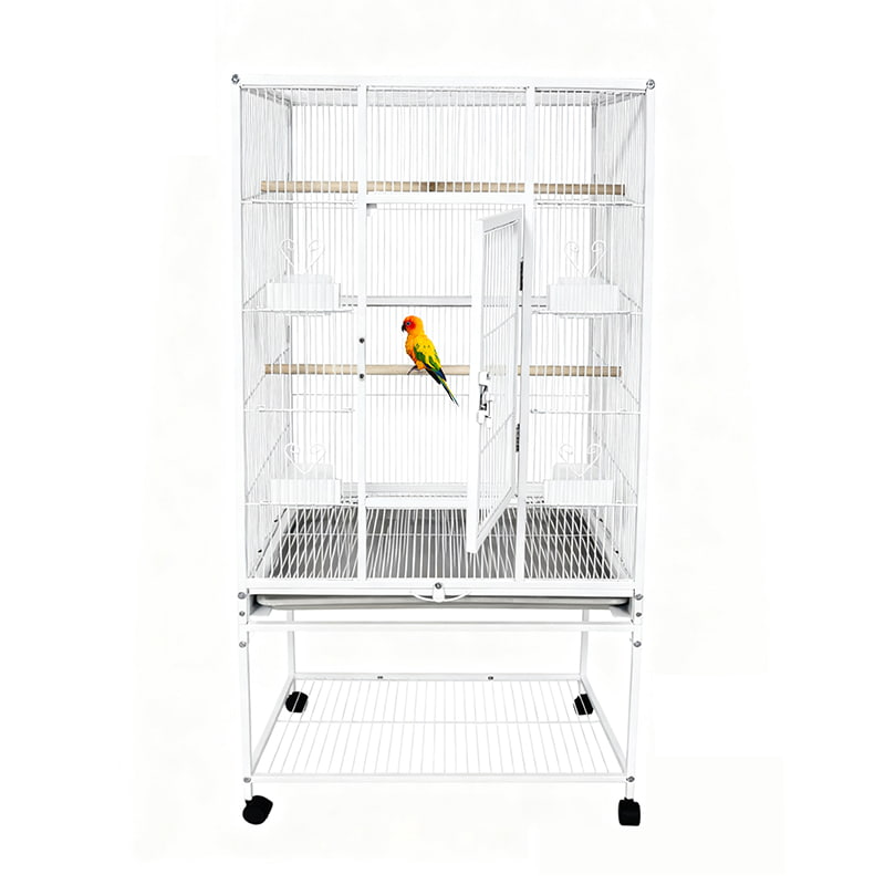 Cur invenit ius avis Cage tam durus? A deep Dive in Modern Avian Housing Solutions
